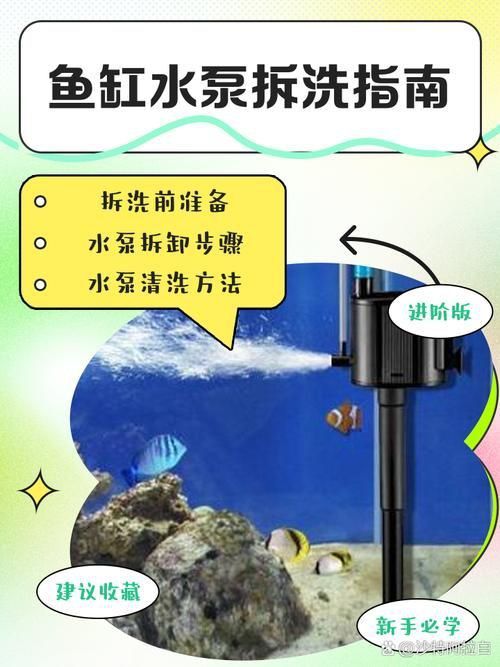 老魚匠水泵拆卸圖解