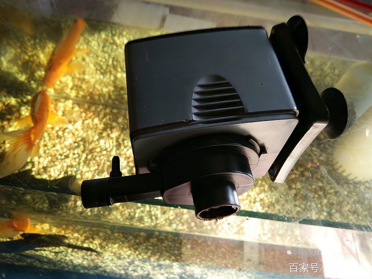 老魚匠水泵拆卸圖解