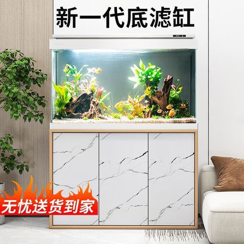 養龍魚魚缸