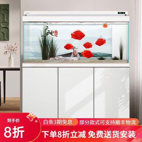 養龍魚魚缸