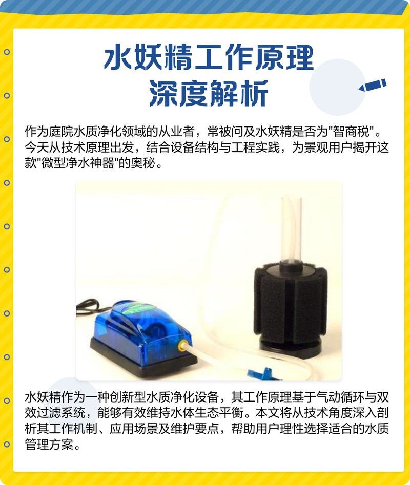 水妖精過濾適合哪些龍缸？
