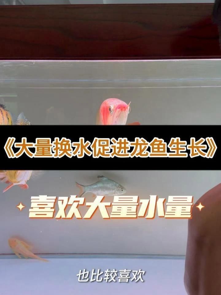 龍魚浮頭顏色如何保養(yǎng)？