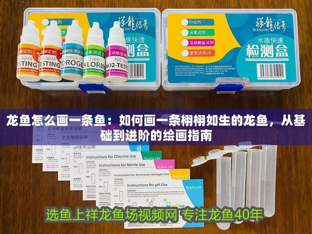 龍魚怎么畫一條魚：如何畫一條栩栩如生的龍魚，從基礎到進階的繪畫指南