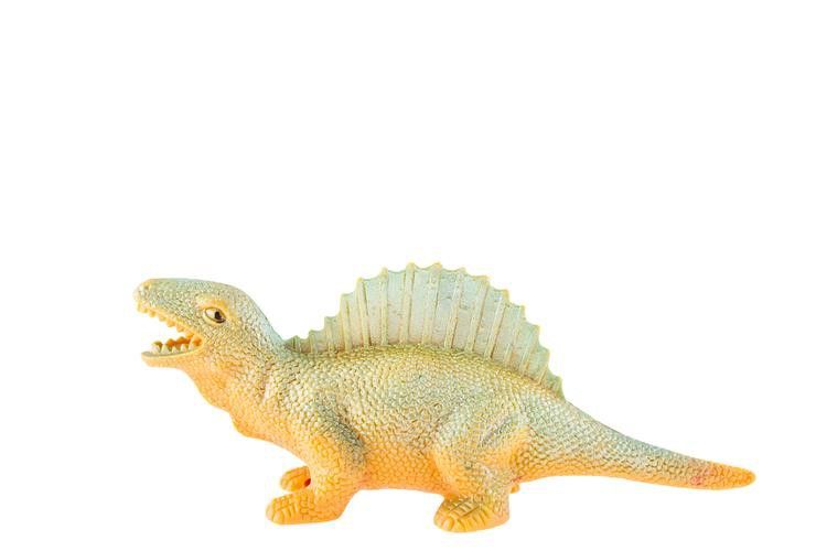 恐龍魚品種介紹圖解