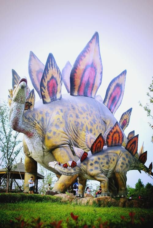 恐龍魚品種介紹圖解