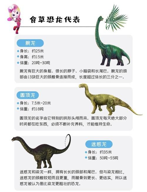 恐龍魚品種介紹圖解