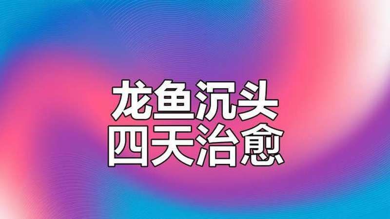 龍魚沉頭最快恢復方法