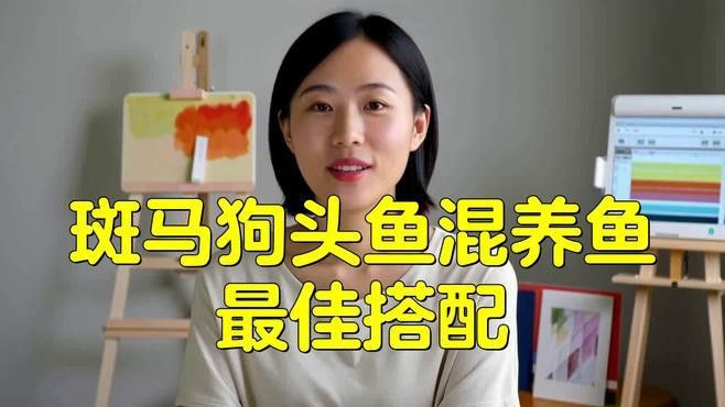 斑馬狗頭能和龍魚混養嗎圖片欣賞