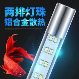 龍魚用什么燈管好：如何選擇龍魚的夜間燈管