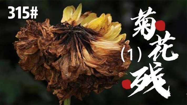 龍魚脫肛是什么意思啊（如何判斷龍魚脫肛的緊急處理方法）