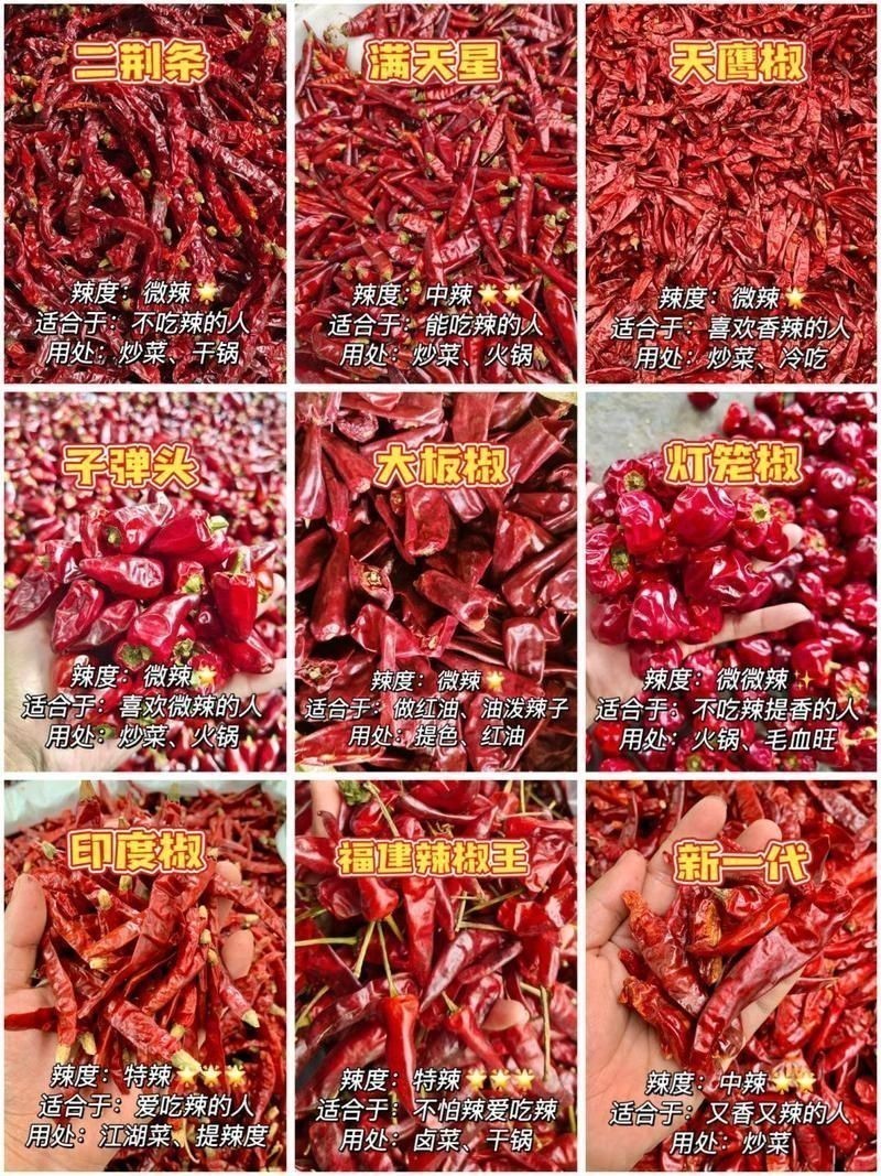 綠皮辣椒小紅龍屬于什么檔次