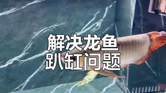 紅龍趴缸如何治療