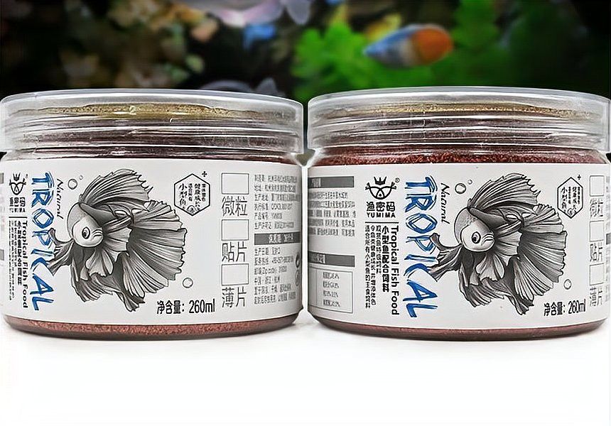 恐龍魚吃龜糧嗎