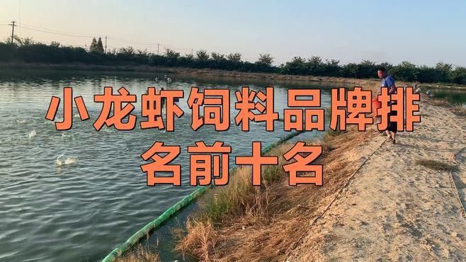 有哪些品牌飼料適合龍魚爬背？