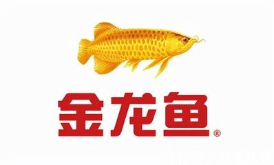 觀看金龍魚的心情說說句子：關于觀看金龍魚的心情說說句子