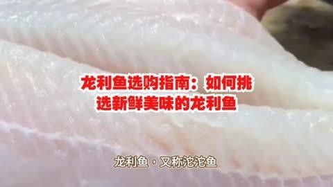 如何挑選龍利魚？