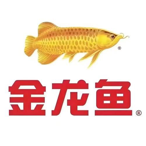 金龍魚標簽設計圖片大全
