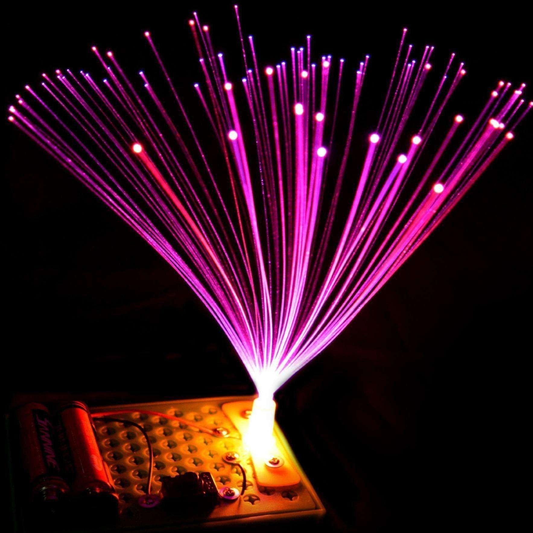 金龍魚鎮養一覽表