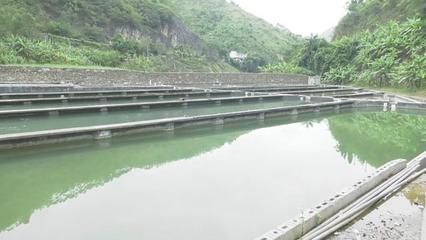 安龍魚苗批發市場：安龍縣魚苗批發市場