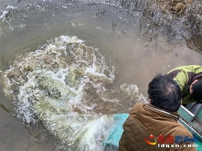 安龍魚苗批發市場：安龍縣魚苗批發市場