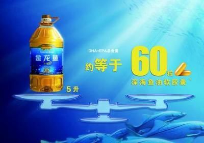 金龍魚(yú)賺錢(qián)嗎現(xiàn)在（金龍魚(yú)的盈利能力如何評(píng)估）