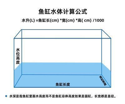 龍魚缸怎么選擇水位高低：關于龍魚缸水位的選擇