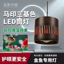 馬印水族增艷燈最新款價格表和圖片