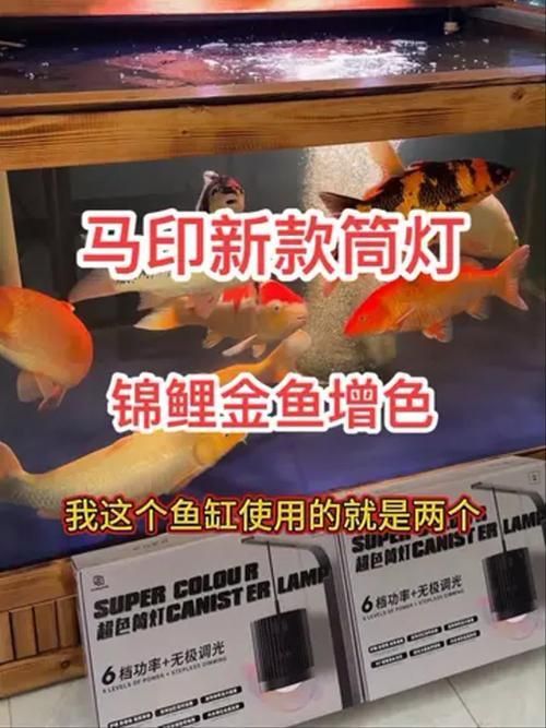 馬印水族增艷燈最新款價格表和圖片