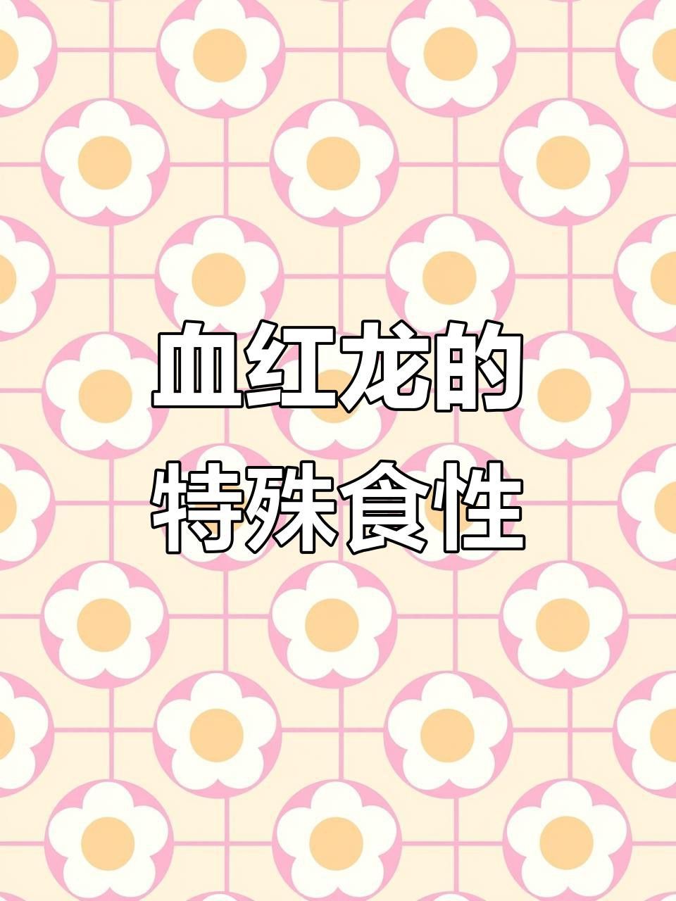 500萬的紅龍魚有哪些品種？