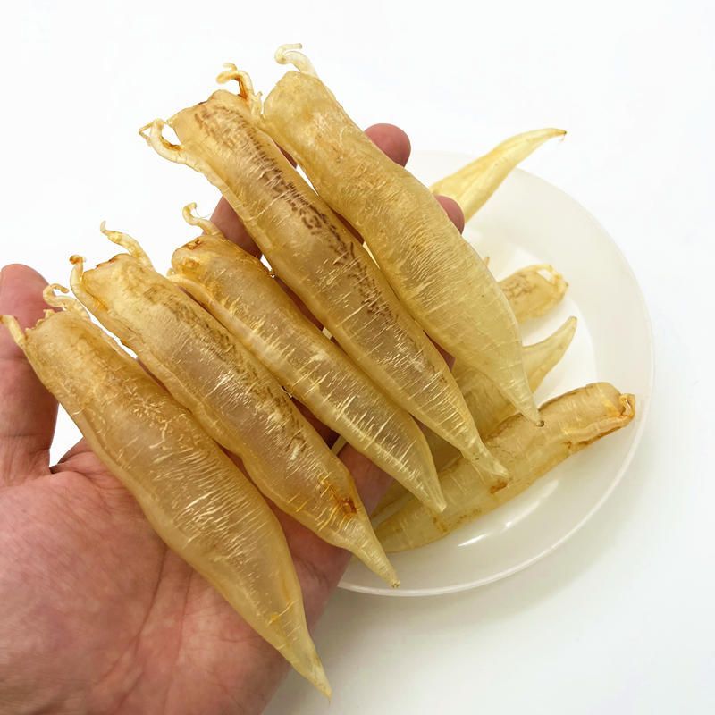 大金龍魚膠是什么魚做的：大金龍魚膠是什么魚做的大金龍魚膠是什么魚做的