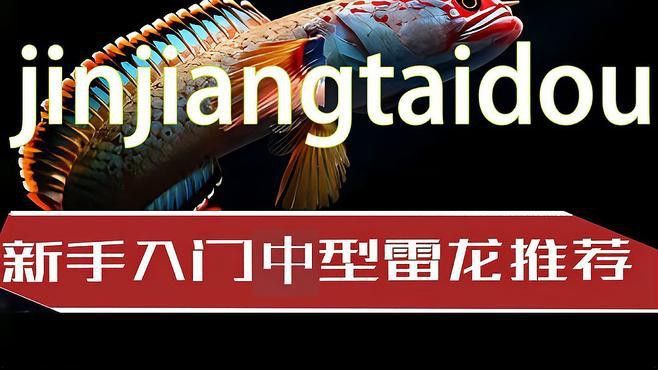 哪種品牌的雷龍魚缸最好？