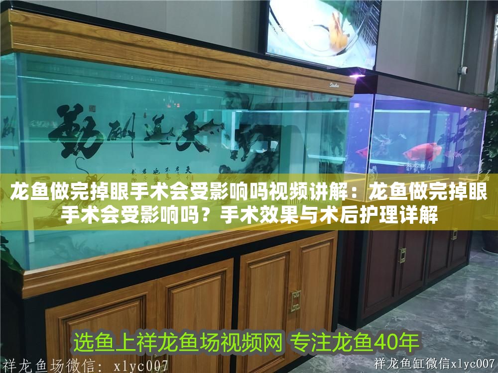 龍魚做完掉眼手術會受影響嗎視頻講解：龍魚做完掉眼手術會受影響嗎？手術效果與術后護理詳解
