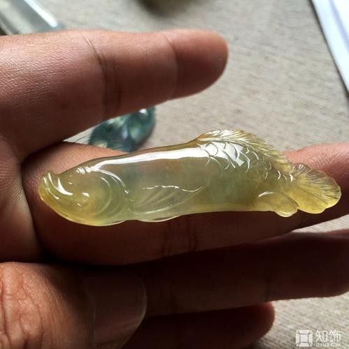 金龍魚翡翠綠色的圖片欣賞大全高清