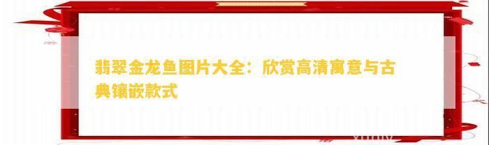 金龍魚翡翠綠色的圖片欣賞大全高清