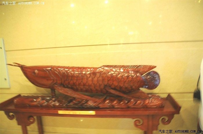 金龍魚會(huì)所指劃：金龍魚會(huì)所指劃“金龍魚會(huì)所”的具體地點(diǎn)或服務(wù)內(nèi)容