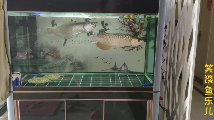 龍魚的發展現狀和趨勢：龍魚的發展現狀可以從多個方面進行分析