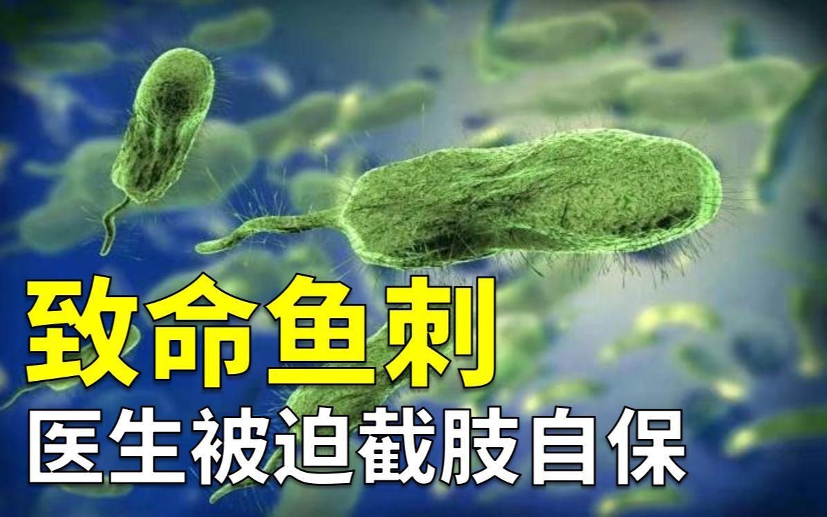 如何判斷自己是否感染了海水細菌？