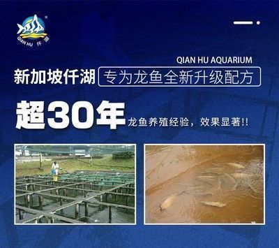 龍魚繁殖空間要求標準：龍魚的繁殖空間要求