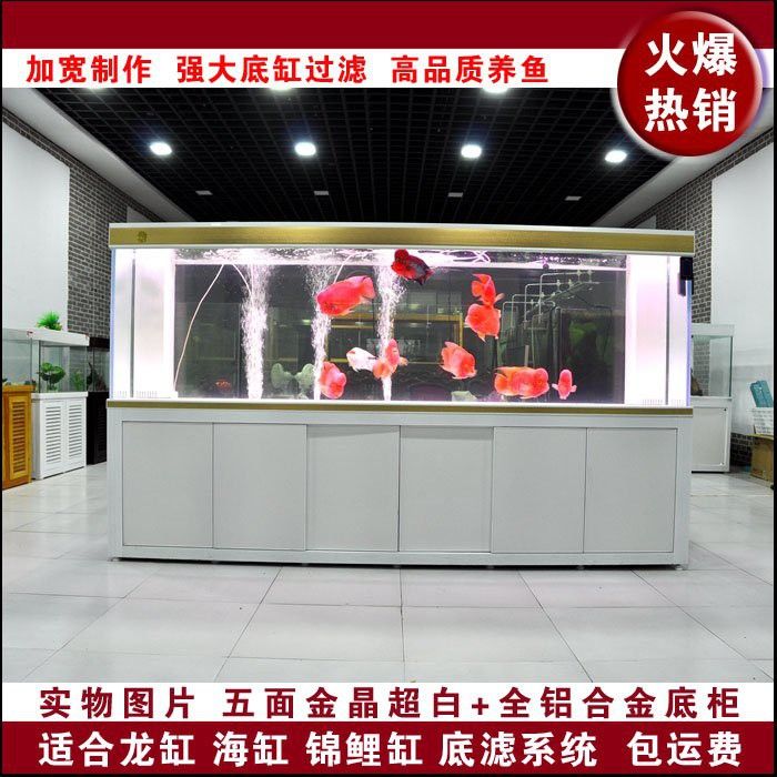 深圳一米龍魚工作室怎么樣啊