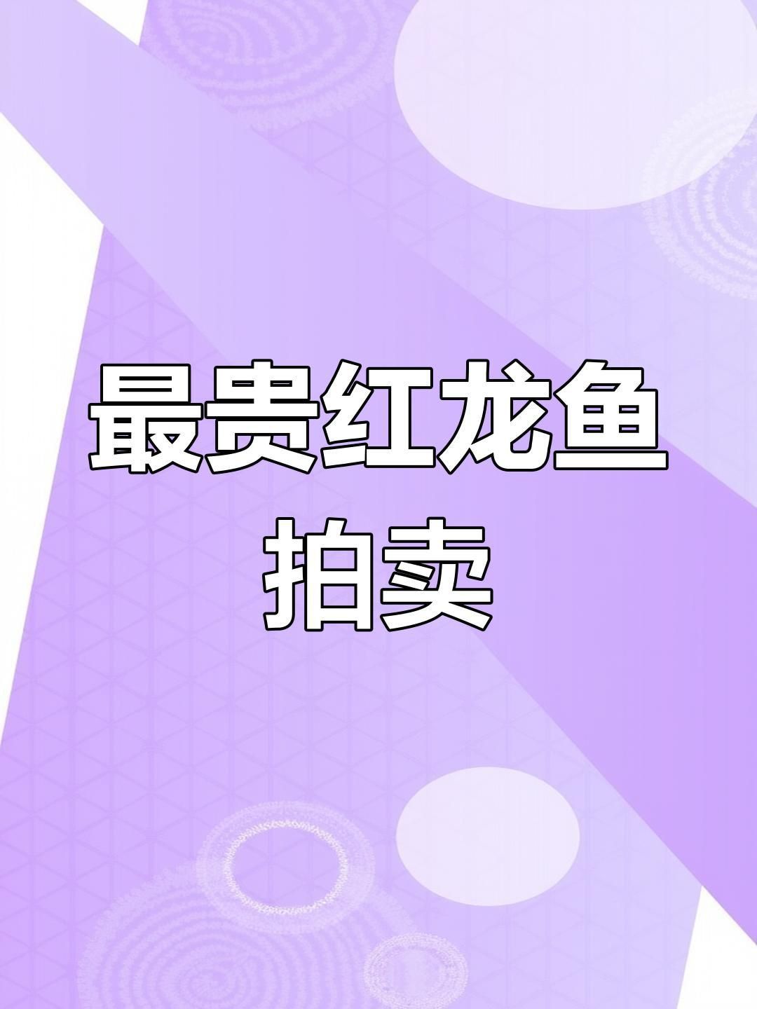 這條天價紅龍魚現在在哪里？