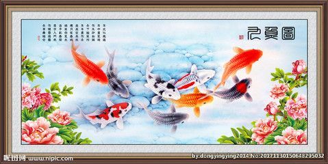 九龍魚的寓意是什么：九龍魚并不是一個具體的魚種類而是對多種魚的統稱