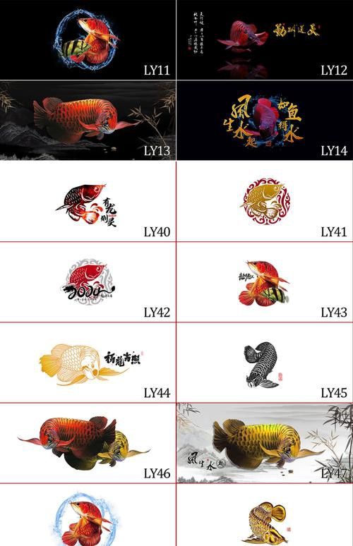 紅龍魚缸背景紙材質如何選擇？