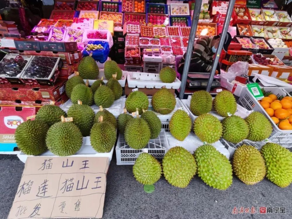 馬來西亞貓山王榴蓮批發：如何購買馬來西亞貓山王榴蓮