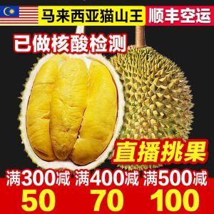 馬來西亞貓山王榴蓮批發：如何購買馬來西亞貓山王榴蓮
