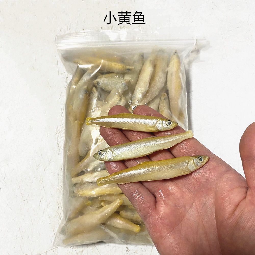 龍魚吃小河蝦好還是蝦仁好（給龍魚喂食小河蝦還是蝦仁？） 龍魚吃小河蝦好還是蝦仁好（給龍魚喂食小河蝦還是蝦仁？） 龍魚百科 第4張