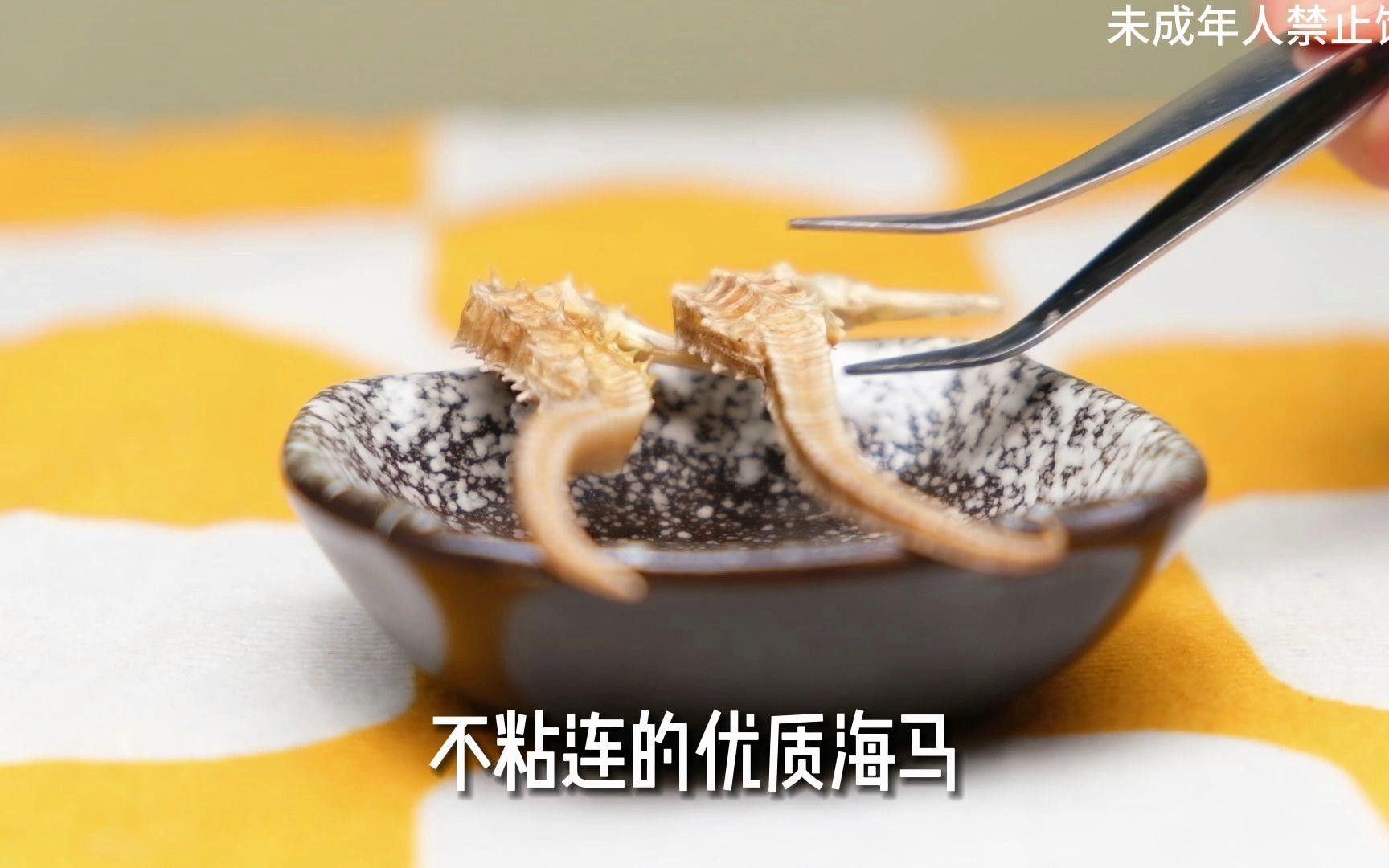 海龍和海馬如何搭配使用？