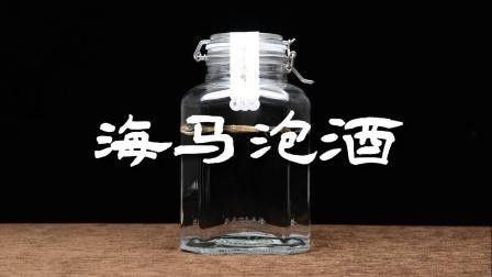 海龍和海馬如何搭配使用？