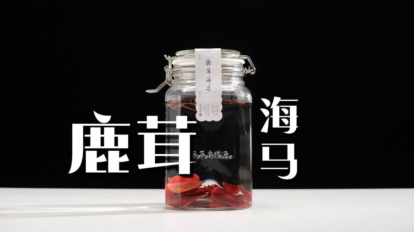 海龍和海馬如何搭配使用？