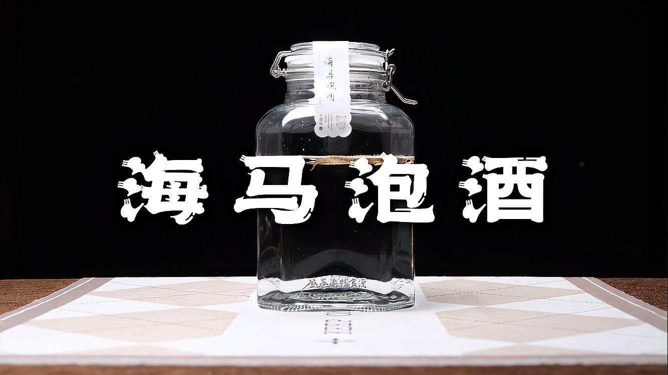 海龍和海馬如何搭配使用？