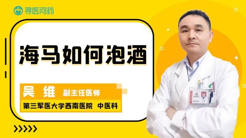 海龍和海馬如何搭配使用？